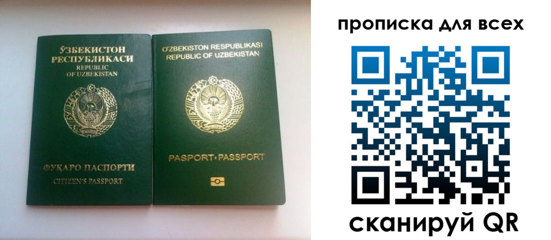 прописка для школы в Асино